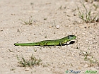 13+05-20-09_IMG_6797
