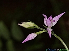 14+06-17-09_IMG_8587