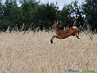 15+IMG_1071