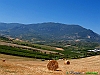 Bolognano_photogallery/thumbs/14-P7185319.jpg