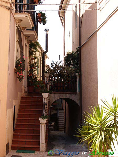 06-P5259716+.jpg