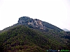 14-P4124535+