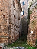 13-P4083729+