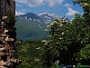 13-P5167516+