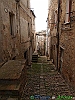 Penne_photogallery/thumbs/23-P4124191+.jpg