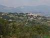 01-P7134200+