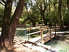 Scafa_photogallery/thumbs/14-P7134291+.jpg