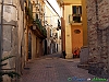 Spoltore_photogallery/thumbs/12-P3312795+.jpg