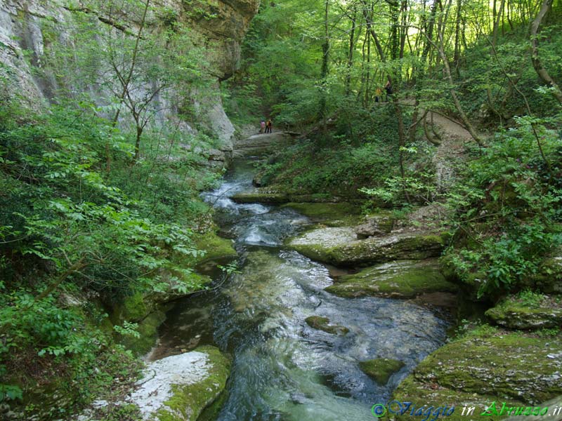 14-P5013942+.jpg - 14-P5013942+.jpg - Un angolo della selvaggia Riserva Natuirale della Valle dell'Orfento, nel Parco Nazionale della Majella.