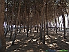16-P3302854+