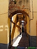 Bellante_photogallery/thumbs/17-P5127160+.jpg