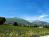 Campli_photogallery/thumbs/20-P5188237+.jpg
