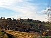 Castellalto_photogallery/thumbs/01-P1011377+.jpg