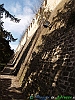 20-P1011186+