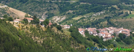 Cortino