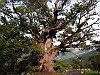 Crognaleto_photogallery/thumbs/19-P9030624+.jpg