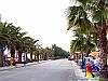 06-P8167393+