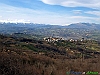 01-P1011236+