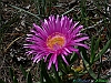 Pineto_photogallery/thumbs/11-P1030335+.jpg