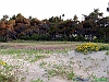 Pineto_photogallery/thumbs/13-P5015274+.jpg