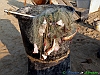 Pineto_photogallery/thumbs/26-P5086736+.jpg