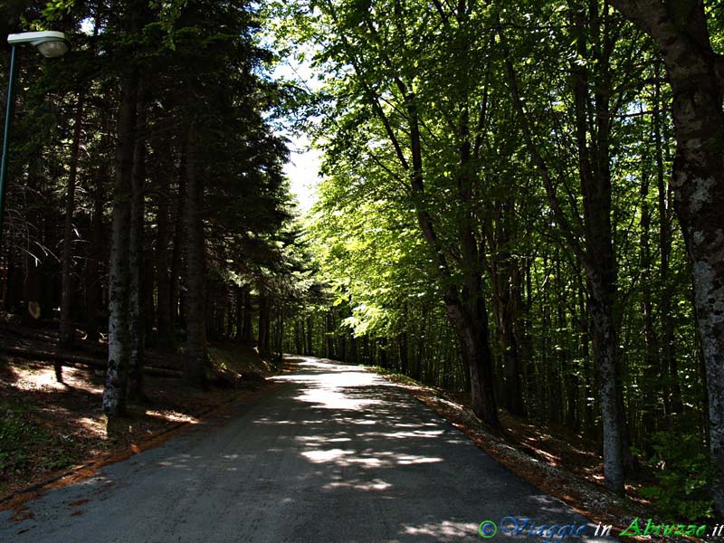 07-P5218927+.jpg - 07-P5218927+.jpg - Il "Ceppo" (1.334 m. slm.).