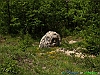 02-P5218806+