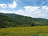 05-P5218942+