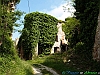 14-P5025716+