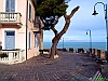 Silvi_photogallery/thumbs/17-P1010095+.jpg