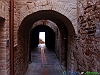 Silvi_photogallery/thumbs/22-P4134738+.jpg