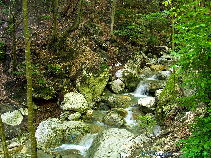 22-P6078601+.jpg - 22-P6078601+.jpg - Le fragorose acque di un piccolo torrente rompono l'assoluto silenzio che regna nei boschi sopra Tossicia.