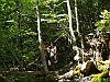 Tossicia_photogallery/thumbs/20-P6078596+.jpg