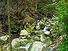 Tossicia_photogallery/thumbs/22-P6078601+.jpg