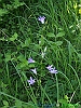 Tossicia_photogallery/thumbs/26-P6128662+.jpg
