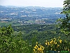 27-P6128727+