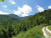 29-P6128740+